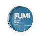 Fumi Freezy Mint 11mg